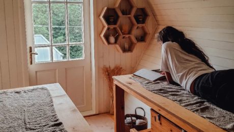 V minulosti išlo o včelárov, ktorí disponovali takzvanými apidomčekmi v tesnej blízkosti včelích úľov.