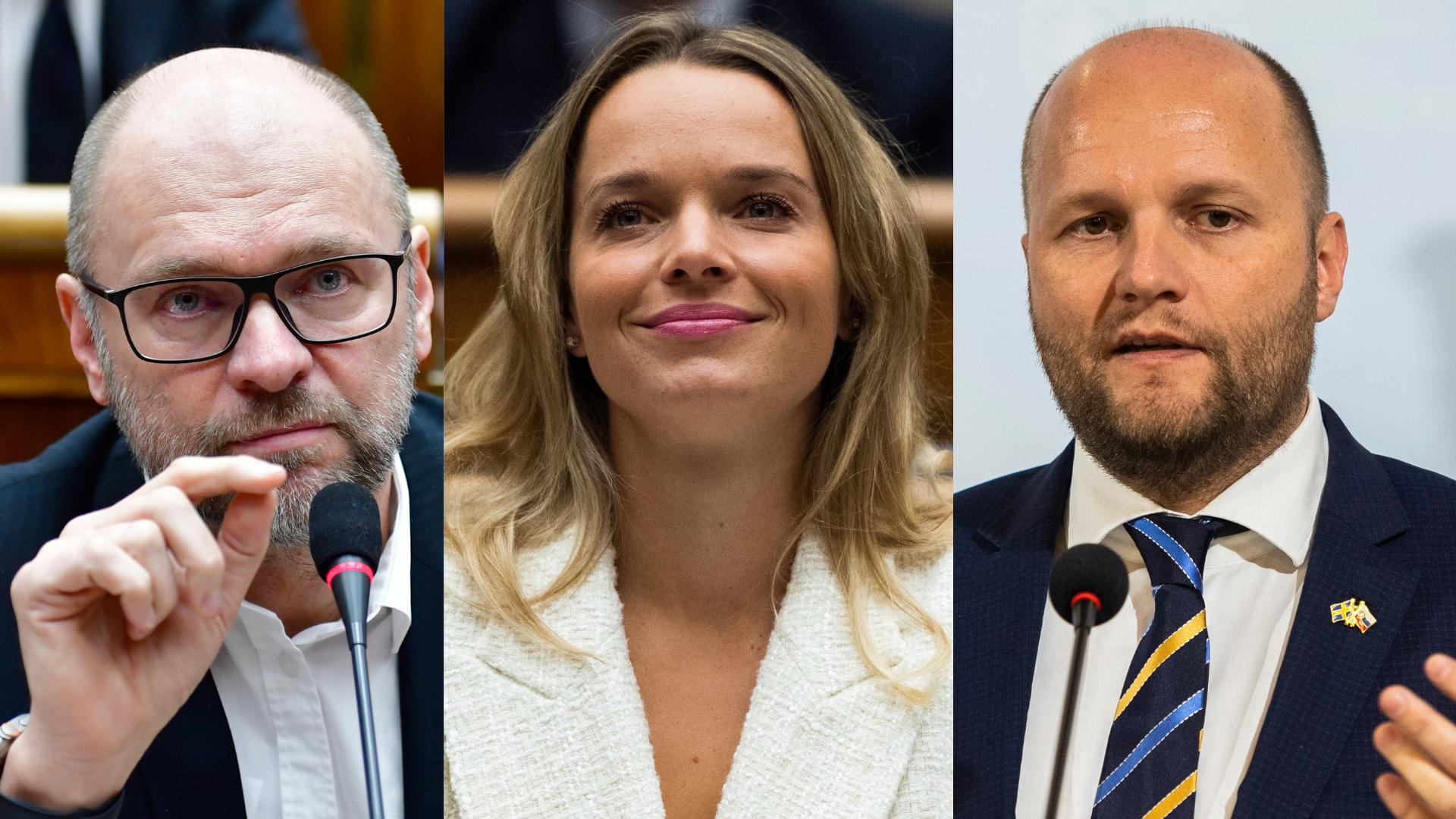 Richard Sulík gestikuluje, Romana Tabák, Jaroslav Naď