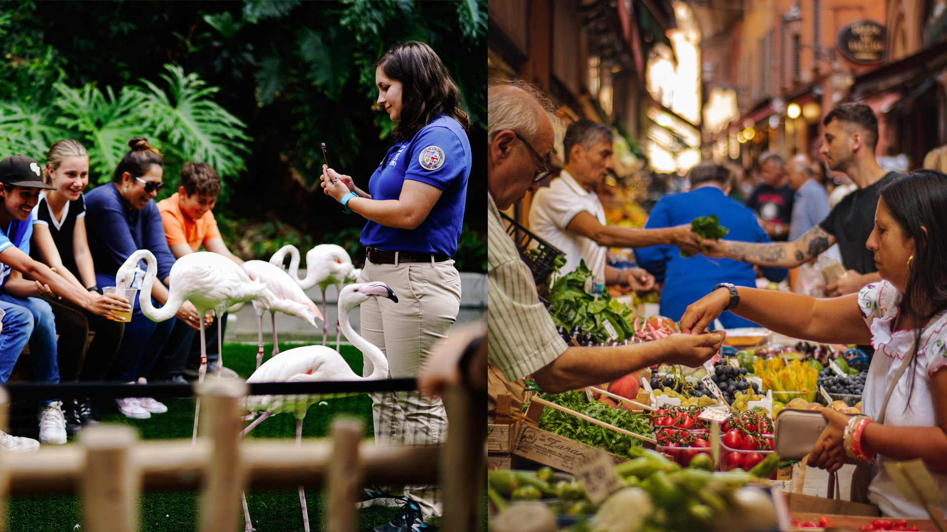 Sprevádzaná skupina v parku napája vtáky pivom a sprievodkyňa ich fotí, ľudia nakupujú na trhovisku