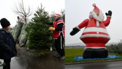 Na snímke je zachytený predaj vianočných stromov v Trenčíne