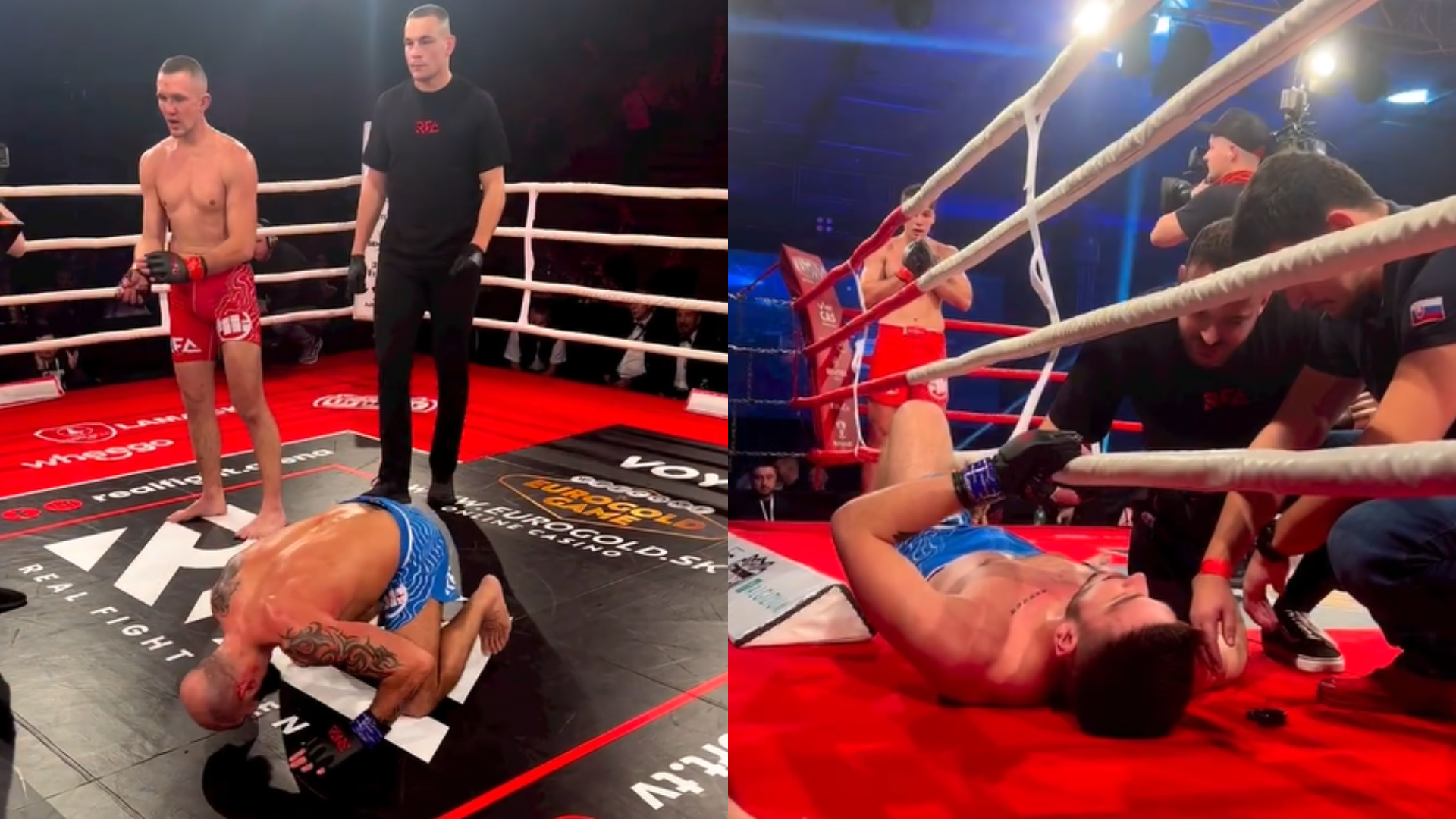 rfa real fight arena ring tour trnava box