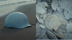 shellmet mušľa prilba japonsko