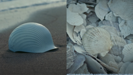 shellmet mušľa prilba japonsko