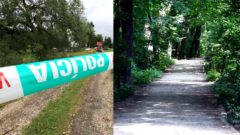 ilstračná snímka policajnej pásky a lesoparku na železnej studničke v Bratislave