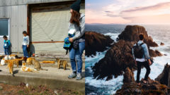 Mačací ostrov, Thorova