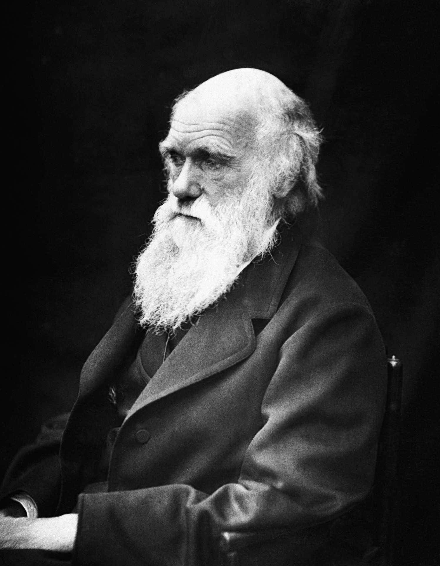 Charles Darwin Glutton Club