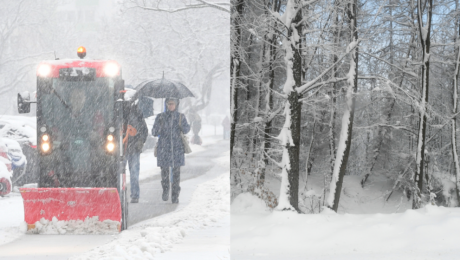 Odhŕňač snehu a zasnežený lesík