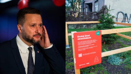 Matúš Vallo a ohrada na vianočné stromčeky