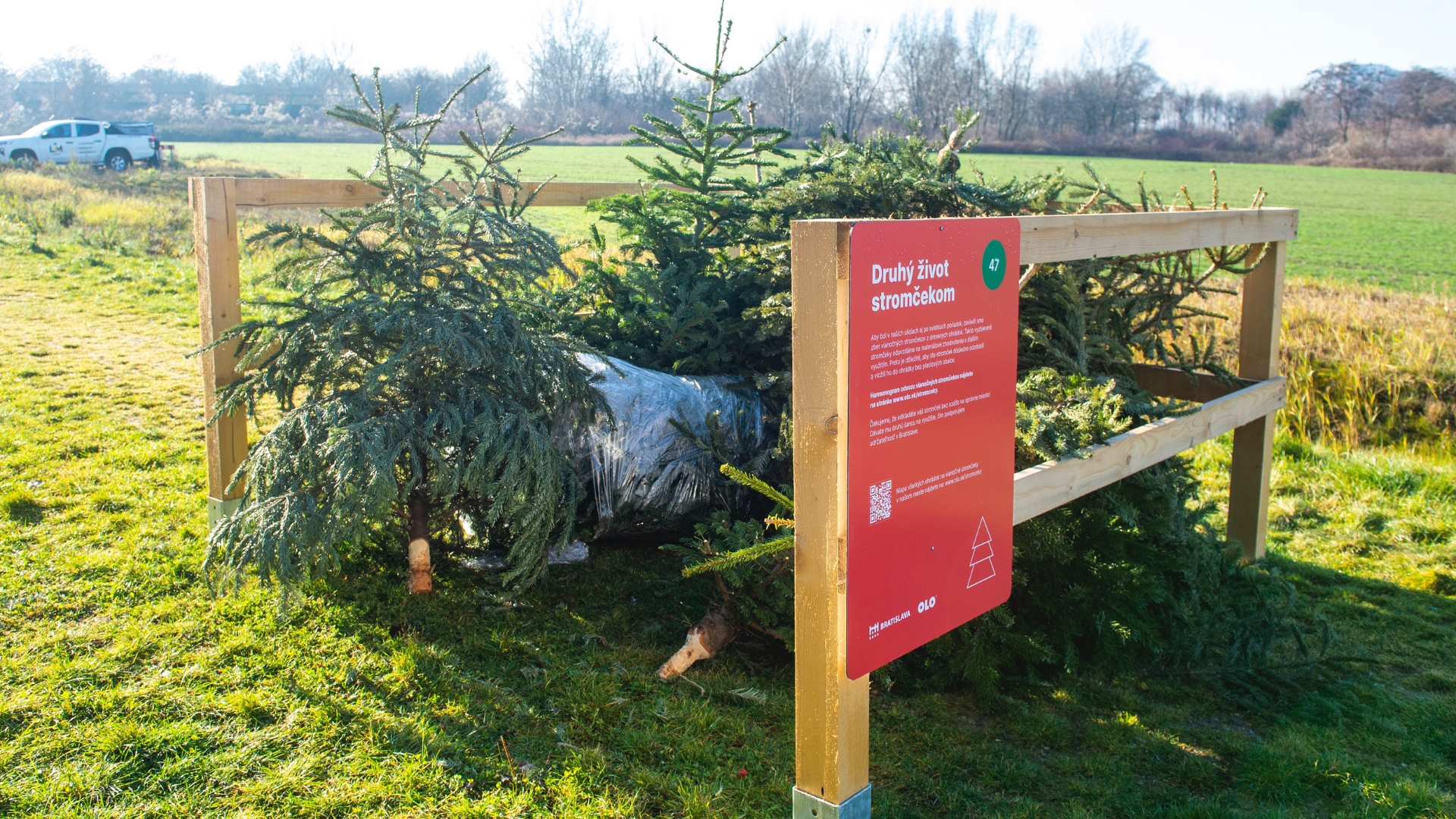 Ohrádka na vianočné stromčeky