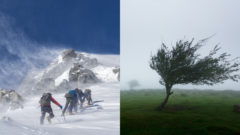 Turisti na horách a strom vo vetre