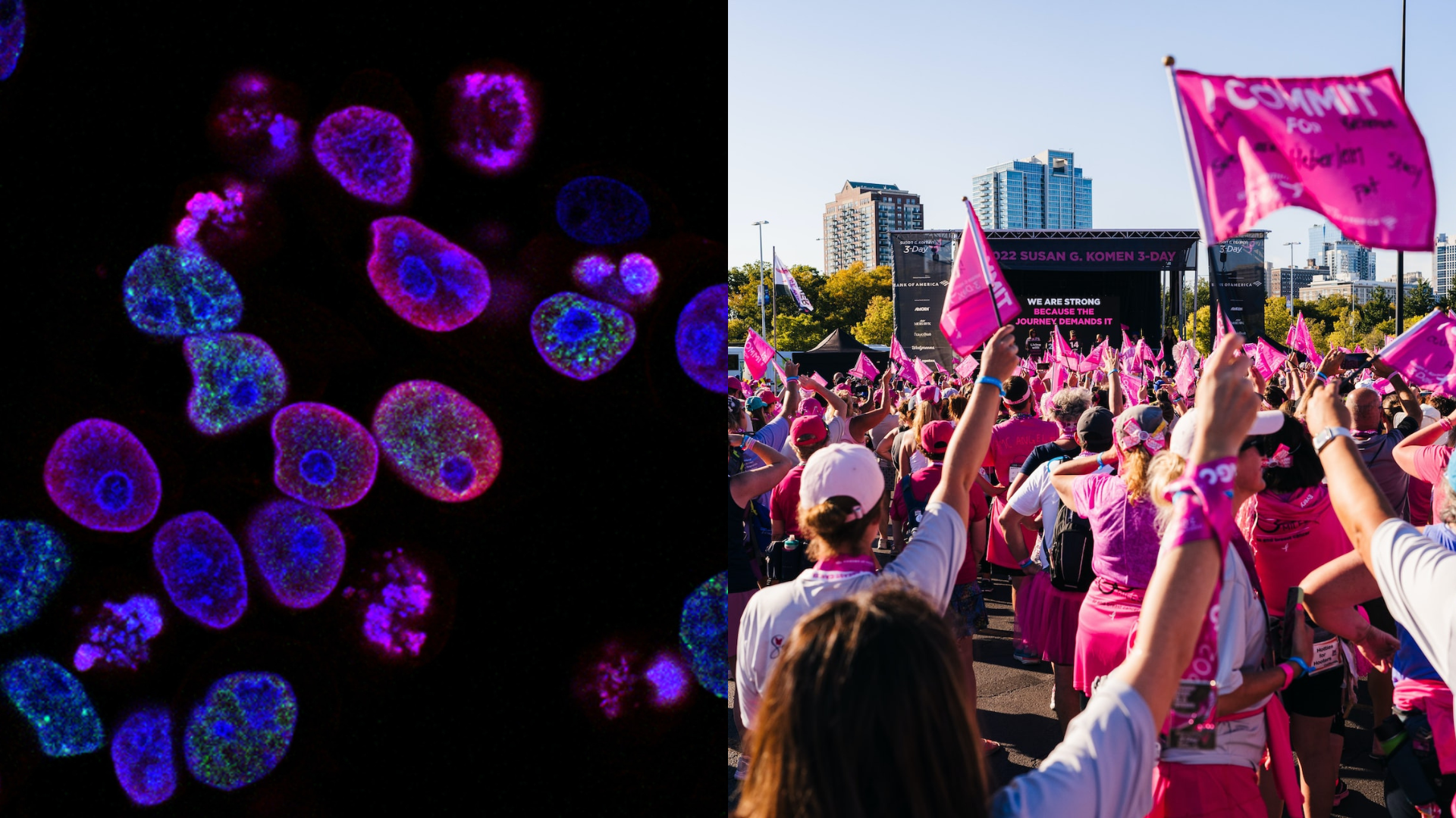 Bunny (rakovina) a ženy na pochode