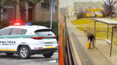 Policajné auto a zábery z nehody