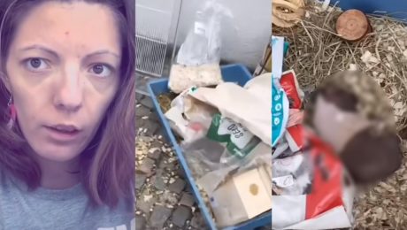 shopaholic adel kauza morča