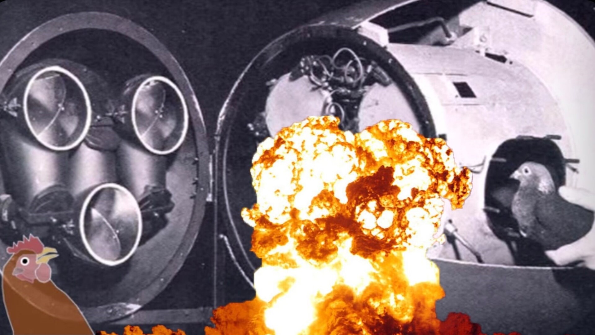 nato sliepky studená vojna