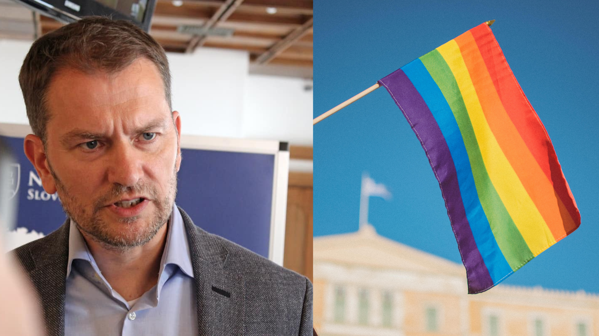 Igor Matovič, vlajka