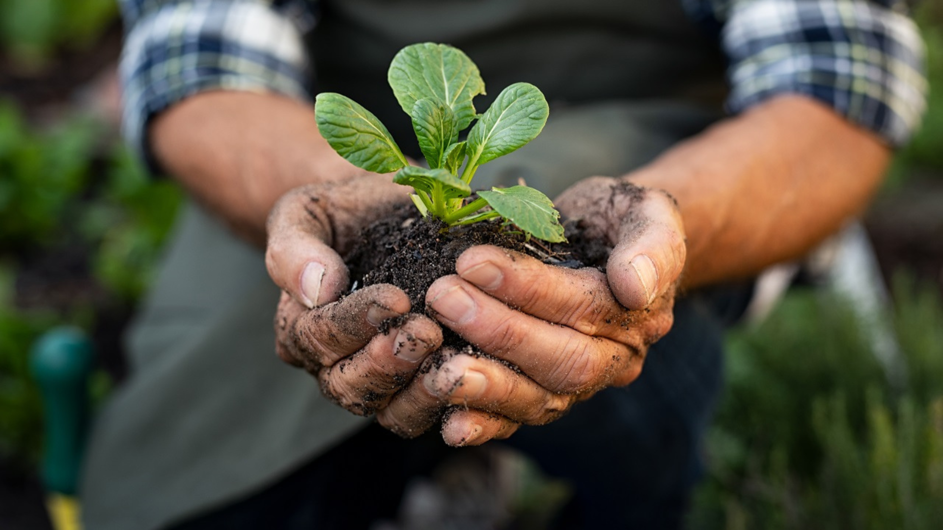 Untitled design (41)