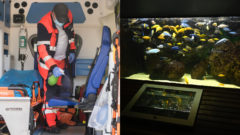 Záchranár v sanitke a akvárium s rybičkami