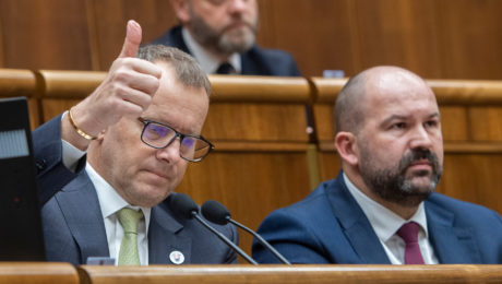 Prípad Kollárovej zbitej