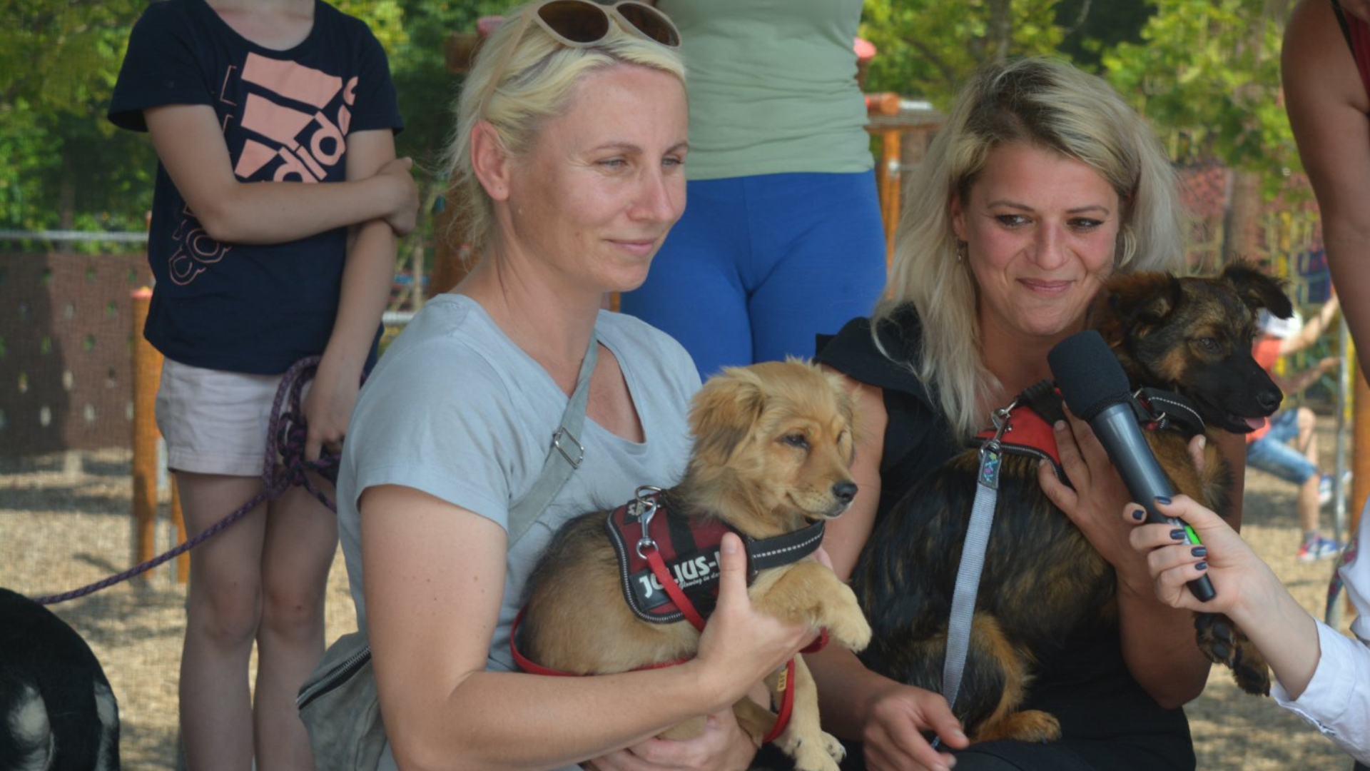 Ženy, ktoré držia malých psíkov