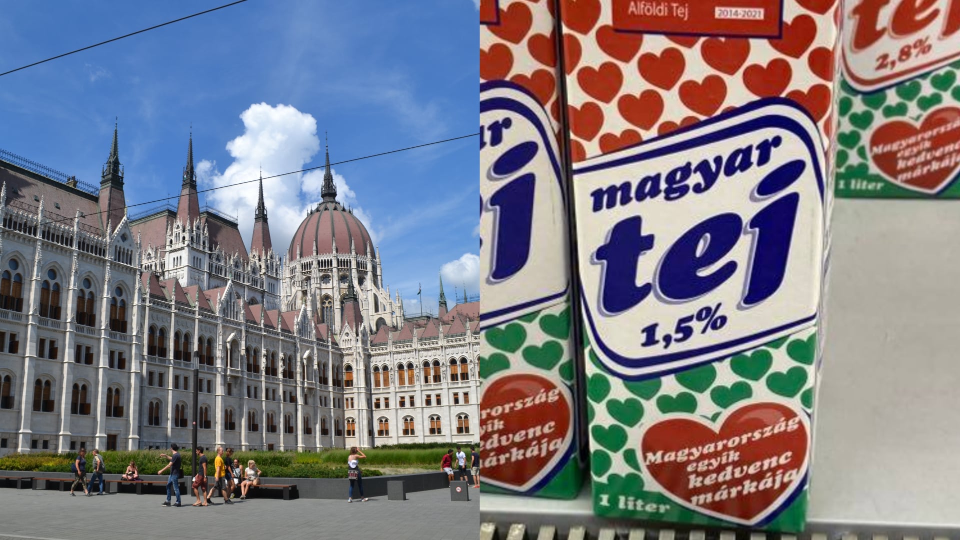 Mlieko a Budapešť