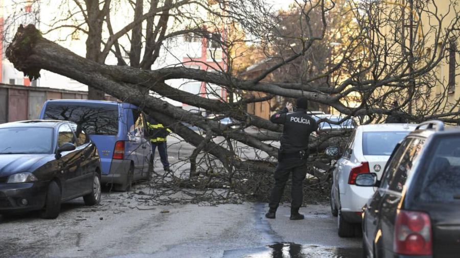 Spadnutý strom po veternej smršti v Košiciach