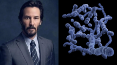 keanu reeves herec matrix baktérie