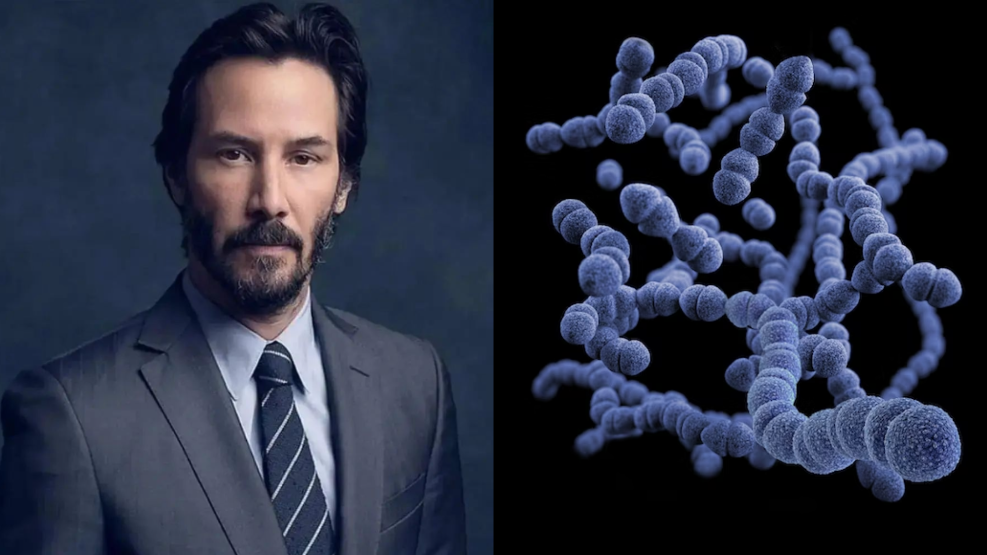 keanu reeves herec matrix baktérie