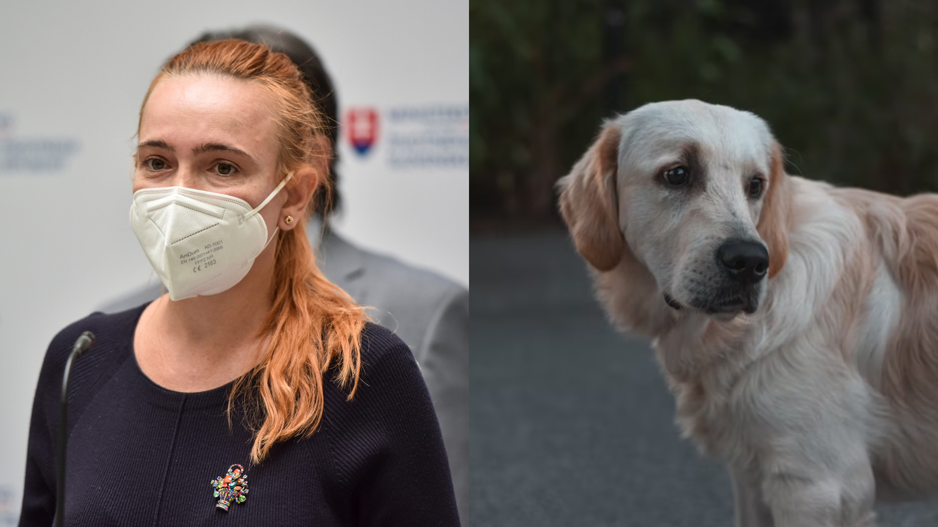 zvierací ombudsman zuzana stanová zviera týranie