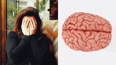 mozog bolesť hlavy migréna