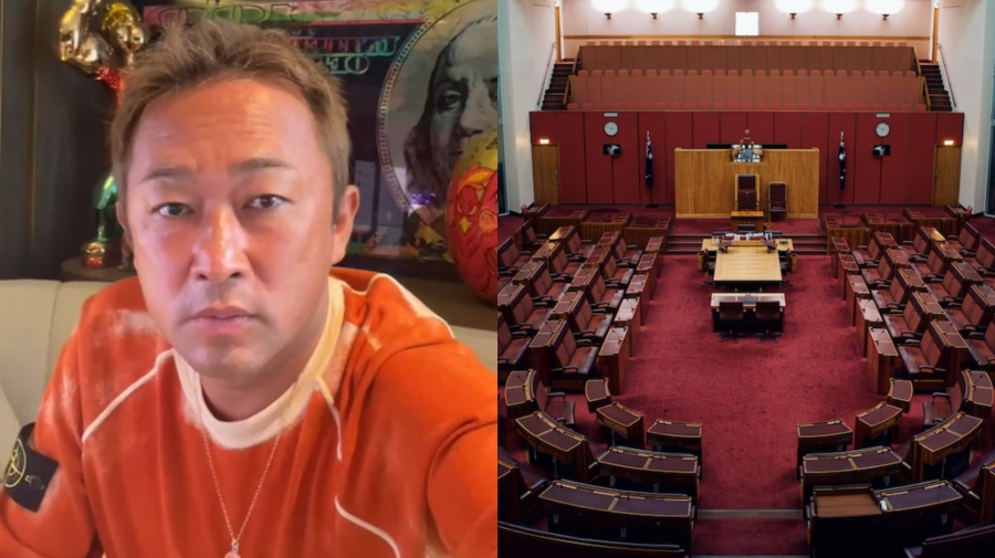 japonsko youtube parlament