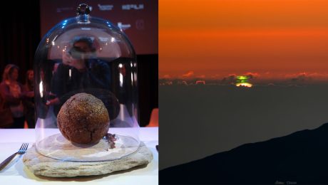 fašírka z kultivovaného mamutieho mäsa a zelený záblesk