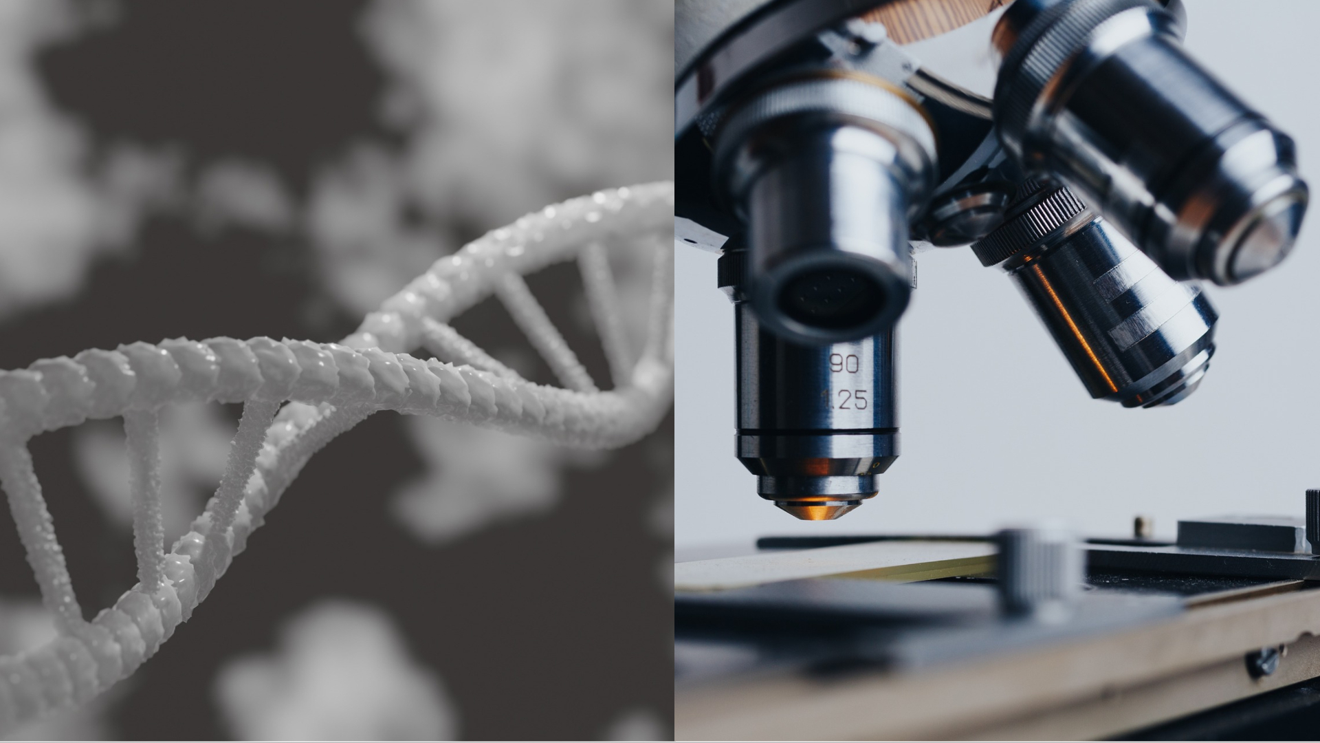 Gény v mozgu vyvolávajú rôzne psychické ochorenia