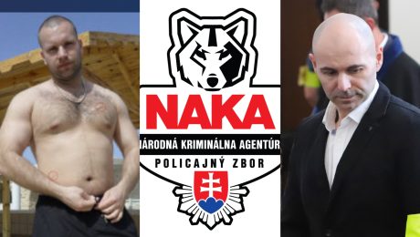 Marek Danihel, Peter Taufer