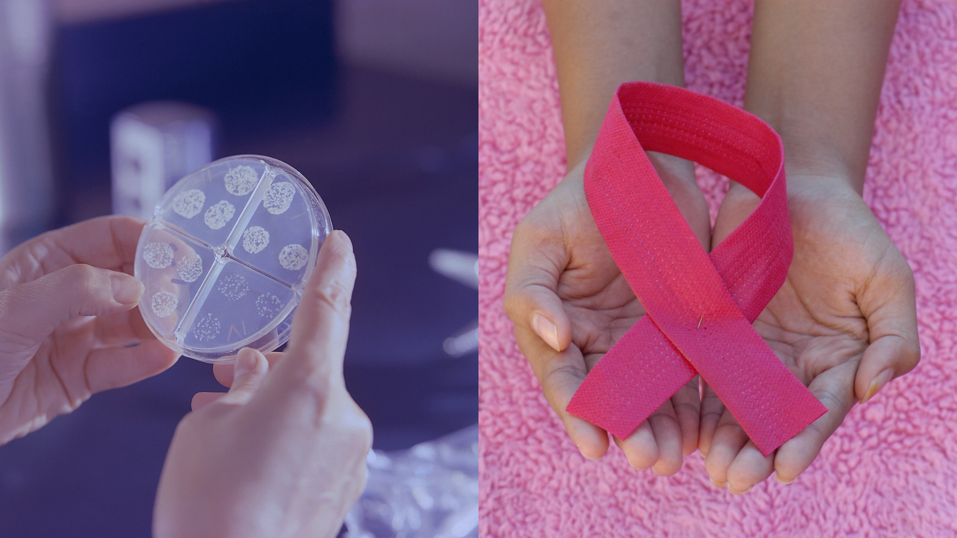 Skúmavka s baktériami a znak ligy proti rakovine