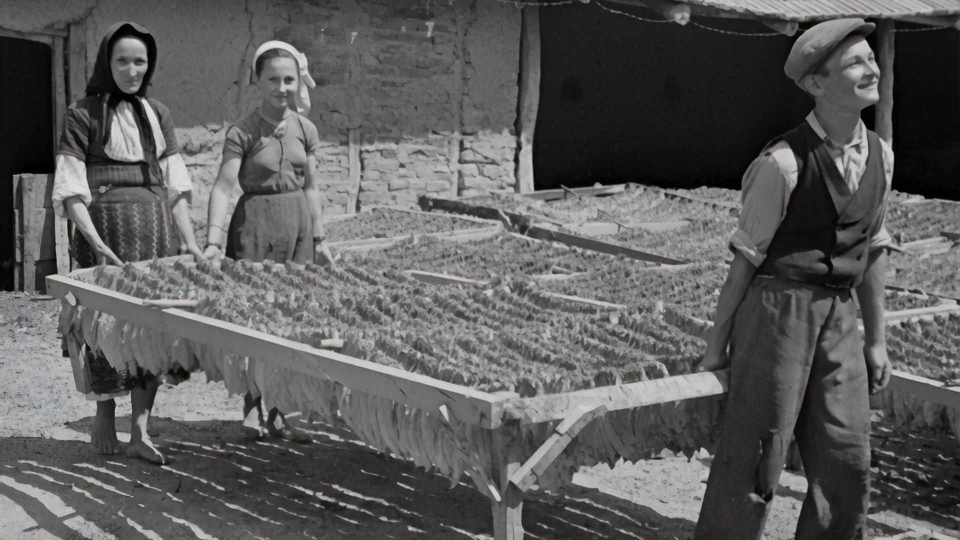 Dve ženy a chlapec pracujú