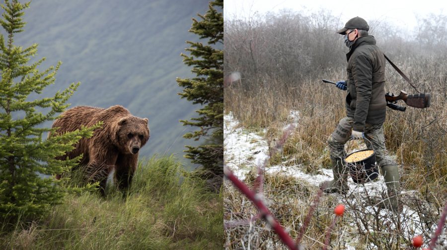 medveď a poľovník