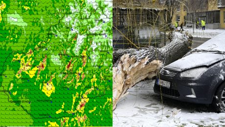 FOTO: Orkán Diethelm