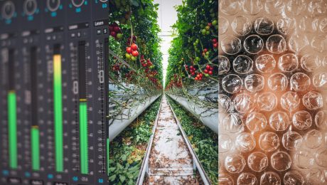 Rastliny vydávajú zvuky