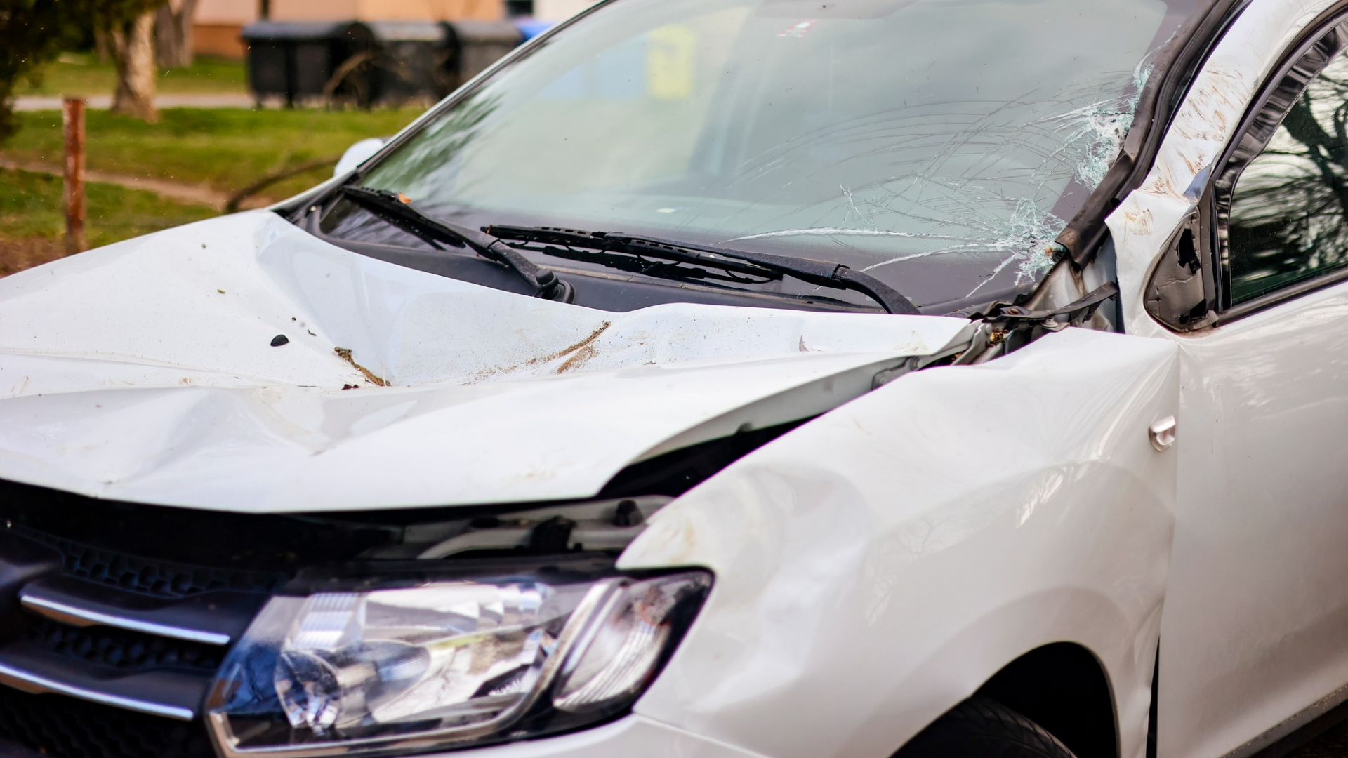 Mesto hlási desiatky spadnutých stromov a poškodených áut.
