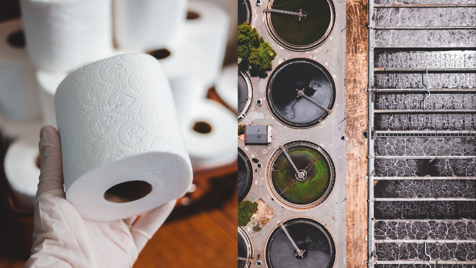Toaletný papier, čistička vody