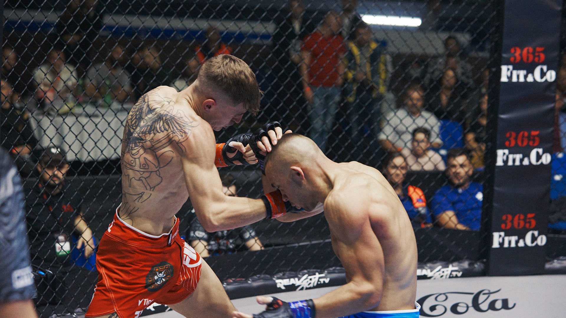 Untitled design – 2023-03-28T180347.470