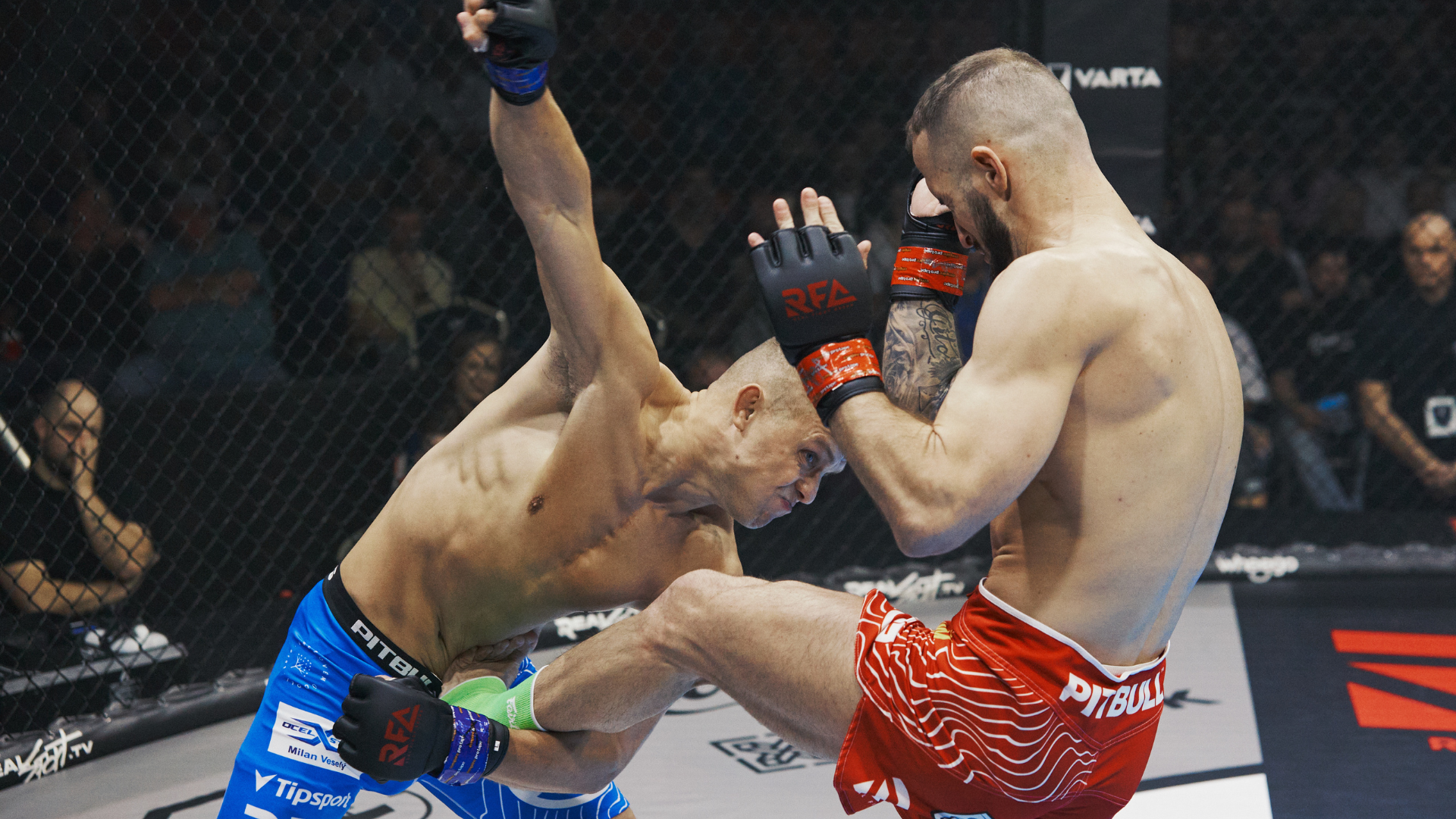 Untitled design – 2023-03-29T173551.633