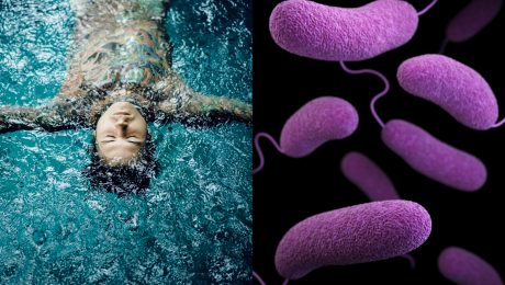 Globálne otepľovanie rozširuje