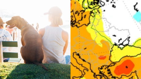 Na obrázku žena, pes a predpoveď počasia