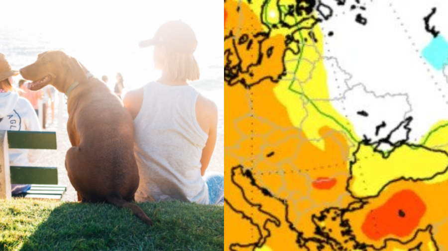 Na obrázku žena, pes a predpoveď počasia