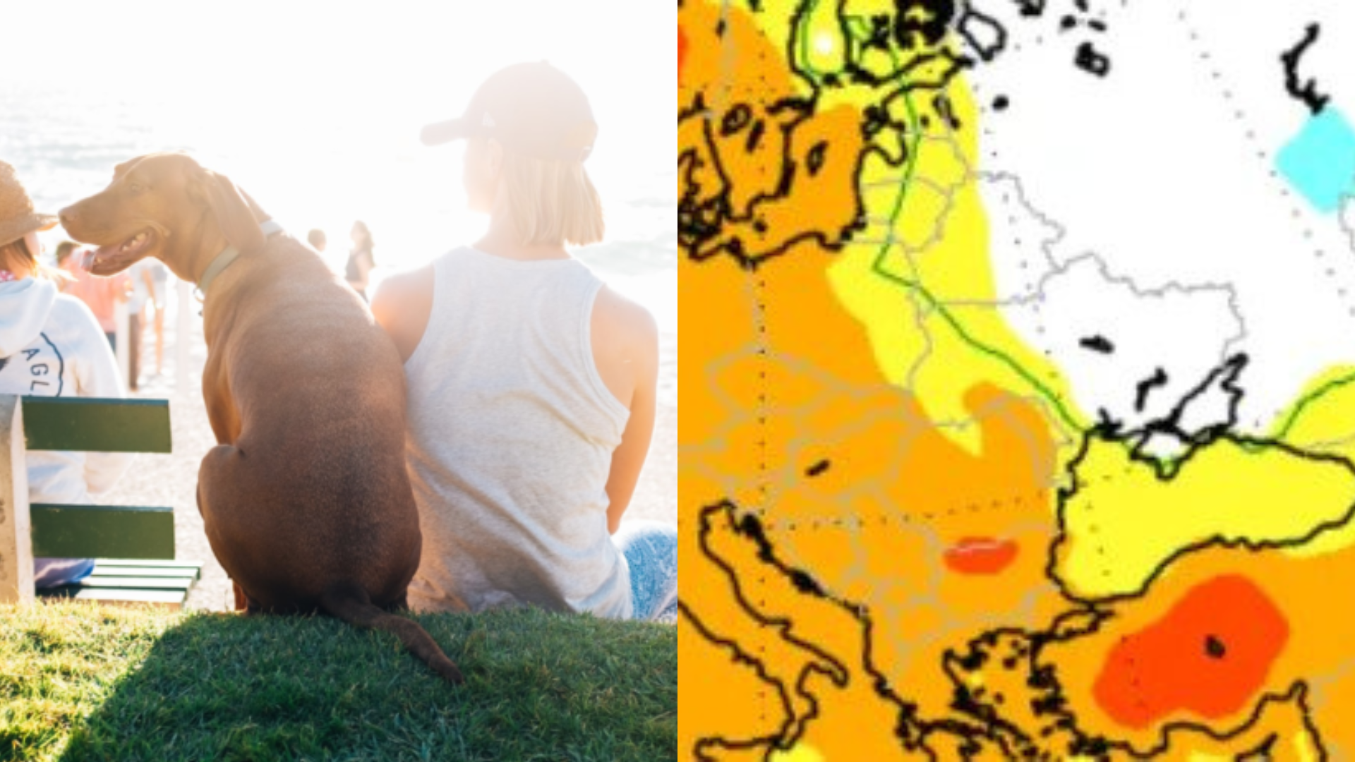 Na obrázku žena, pes a predpoveď počasia