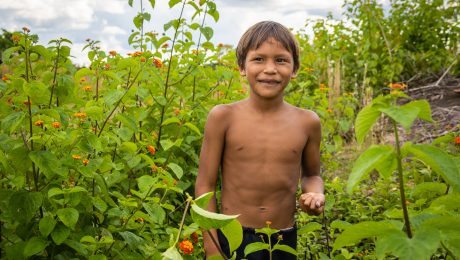 Rozhovor o Brazílii