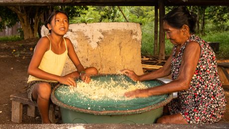 Rozhovor o Brazílii