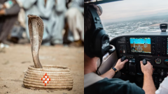 kobra lietadlo pilot