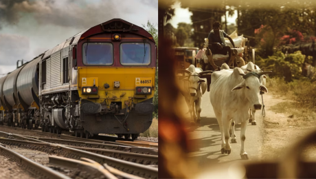 krava vlak nehoda india